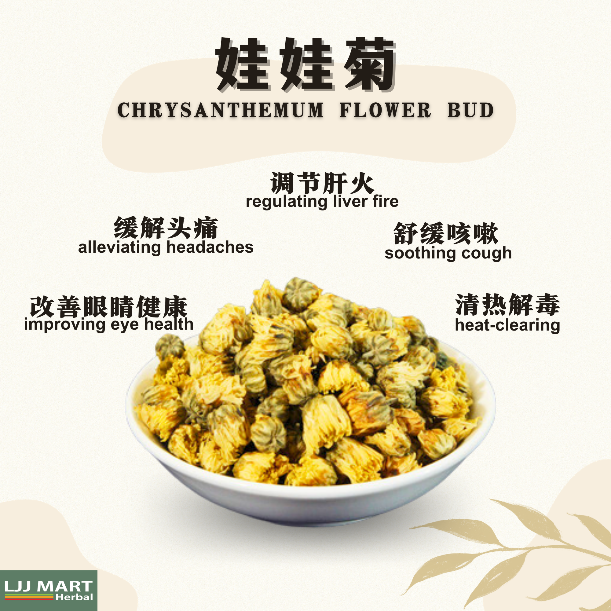 Chrysanthemum Flower Bud   娃娃菊