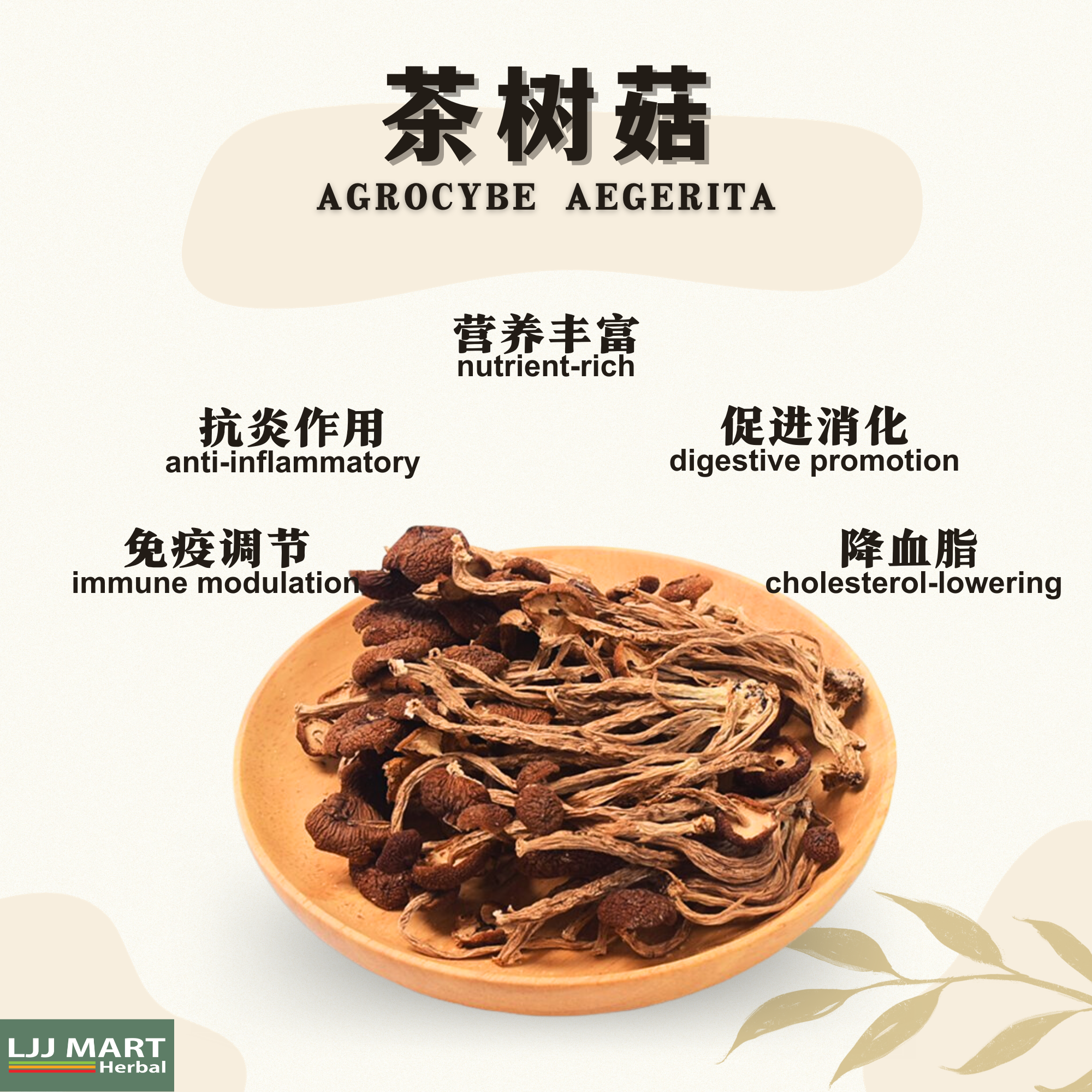 茶树菇 Agrocybe Aegerita 100g